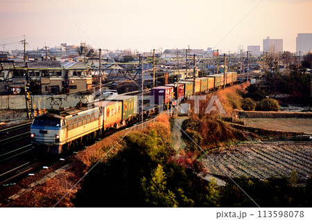 2006年　東海道本線を走るEF668コンテナ貨物列車 113598078