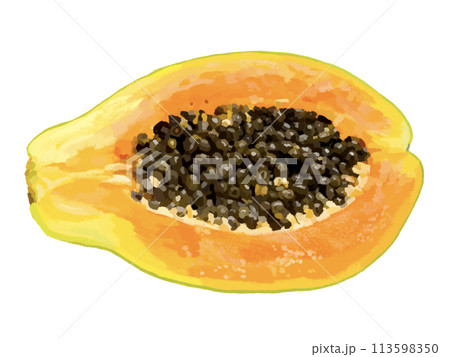 パパイヤ(断面) パパイヤ(断面) 113598350