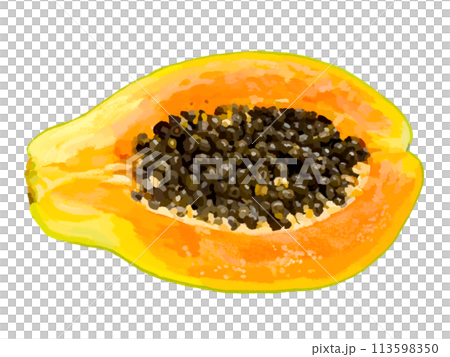 パパイヤ(断面) パパイヤ(断面) 113598350