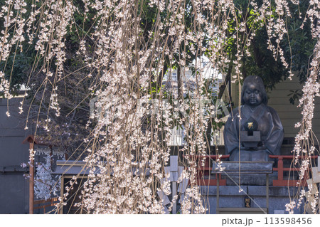 大報恩寺（千本釈迦堂）おかめ像　満開の阿亀桜 113598456