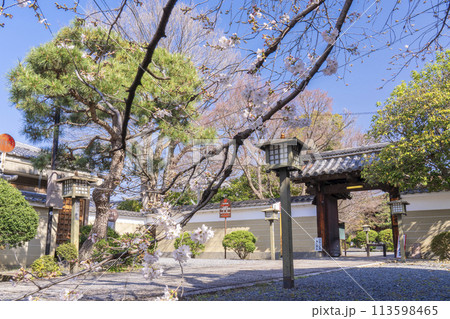 大報恩寺(千本釈迦堂) 山門 満開の阿亀桜 大報恩寺(千本釈迦堂) 山門 満開の阿亀桜 113598465