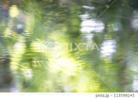 水面に映る夏色のイメージ　奥大山 113599245