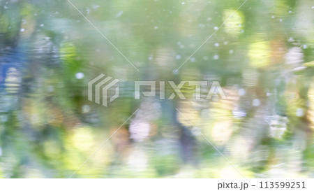 水面に映る夏色のイメージ　奥大山 113599251