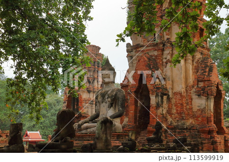 タイの世界文化遺産の古都アユタヤ 根の間に埋まった仏像の仏頭が有名な廃墟となったワットマハタート寺院 タイの世界文化遺産の古都アユタヤ 根の間に埋まった仏像の仏頭が有名な廃墟となったワットマハタート寺院 113599919