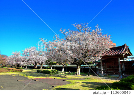 国指定史跡 庄内藩校 致道館 国指定史跡 庄内藩校 致道館 113600049