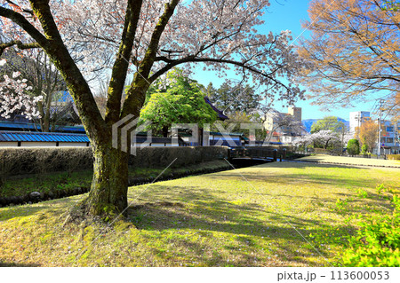 国指定史跡　庄内藩校　致道館 113600053