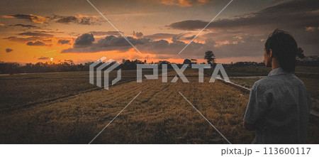 Small river on the edge of a rice farm in afternoon Small river on the edge of a rice farm in afternoon 113600117