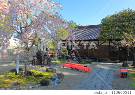 日本さくら名所100選 鶴岡公園 日本さくら名所100選 鶴岡公園 113600511