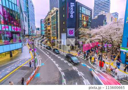 日本の東京都市景観 桜色に染まる渋谷…渋谷サクラステージSHIBUYAタワー前のさくら坂で、桜が満開 113600665