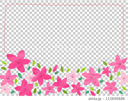 Watercolor azalea frame - Stock Illustration [113600886] - PIXTA
