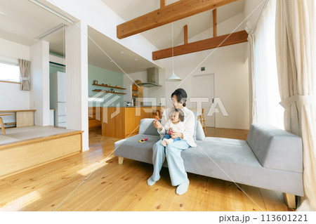 リビングでくつろぐ親子 リビングでくつろぐ親子 113601221