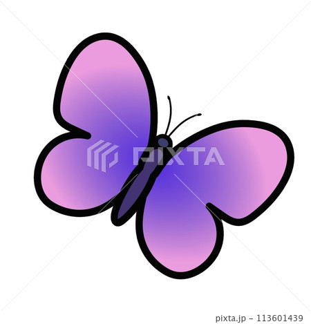 蝶のイラスト 113601439