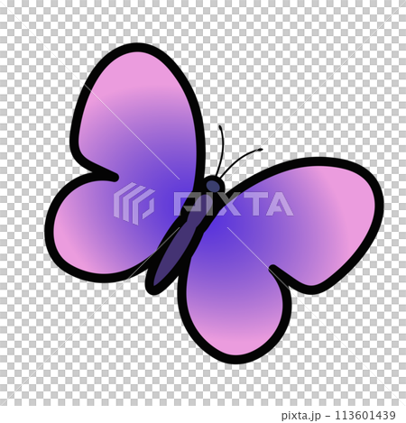 蝶のイラスト 113601439