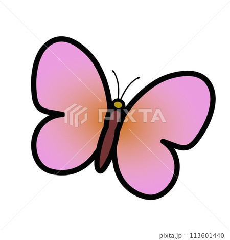 蝶のイラスト 蝶のイラスト 113601440