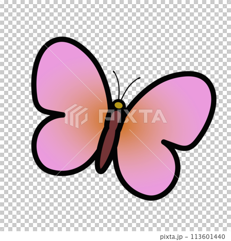 蝶のイラスト 蝶のイラスト 113601440