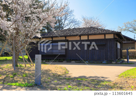 松ヶ岡農村公園 松ヶ岡開墾場桜並木 松ヶ岡農村公園 松ヶ岡開墾場桜並木 113601645
