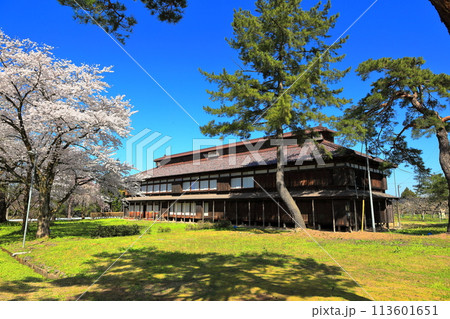 松ヶ岡農村公園　松ヶ岡開墾場桜並木 113601651