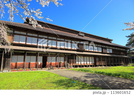 松ヶ岡農村公園　松ヶ岡開墾場桜並木 113601652