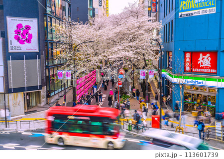 日本の東京都市景観 桜色に染まる渋谷…渋谷サクラステージSHIBUYAタワー前のさくら坂で、桜が満開 日本の東京都市景観 桜色に染まる渋谷…渋谷サクラステージSHIBUYAタワー前のさくら坂で、桜が満開 113601739