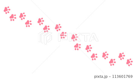 動物の足跡　肉球 113601769
