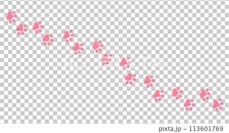 動物の足跡　肉球 113601769
