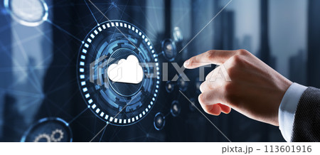 Cloud Computing Concept. Business click icon Cloud Computing Concept. Business click icon 113601916