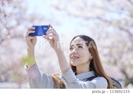春の桜の写真を撮影する外国人旅行者 113602133