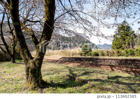 春のから駅からみた風景 春のから駅からみた風景 113602385