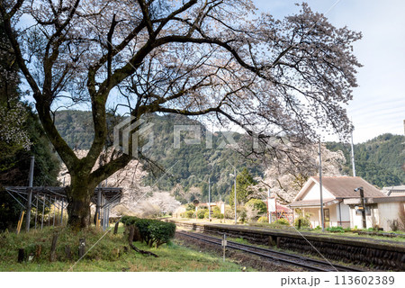 桜のある風景 桜のある風景 113602389