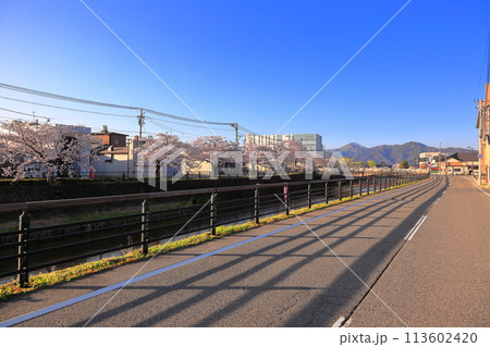 内川河川緑地の桜並木 113602420