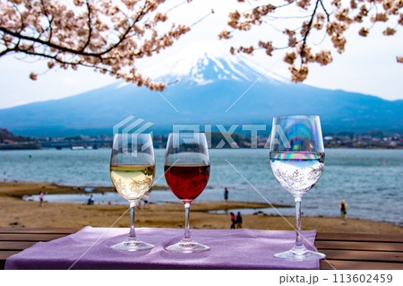 河口湖の春　桜と富士山とワイングラス　 113602459