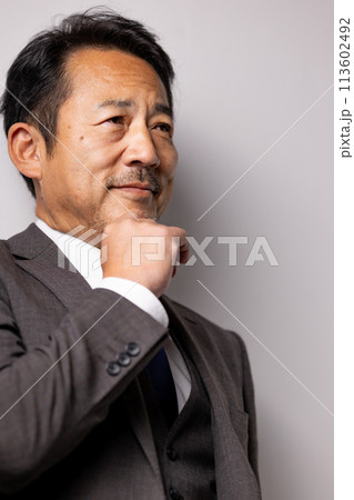 ビジネス 男性 ビジネス 男性 113602492