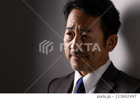 ビジネス 男性 ビジネス 男性 113602497