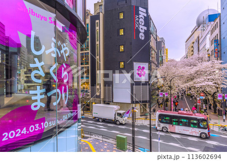 日本の東京都市景観 桜色に染まる渋谷…渋谷サクラステージSHIBUYAタワー前のさくら坂で、桜が満開 113602694