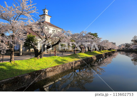 日本さくら名所100選　鶴岡公園桜祭り 113602753