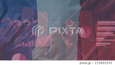 Image of statistics and data processing over waving flag of france 113603243