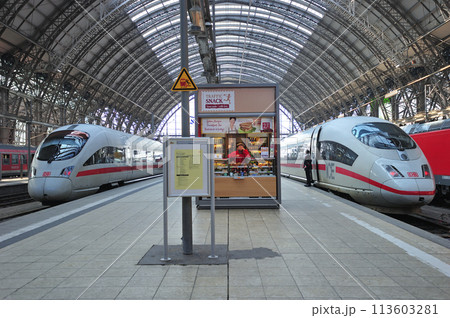 ドイツ国鉄　DB　フランクフルト中央駅　ICE 113603281