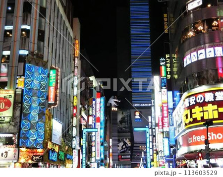 夜の歌舞伎町 113603529