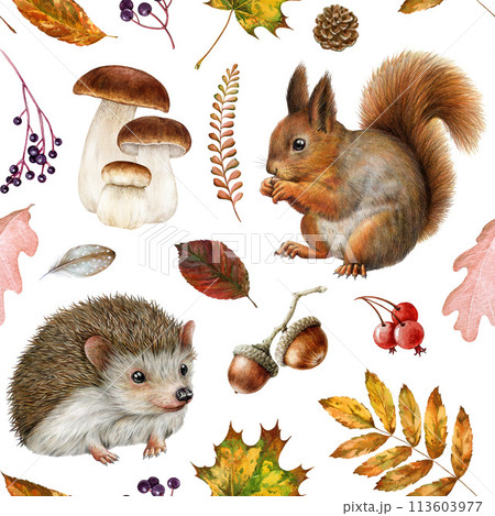 Autumn forest animals, natural elements seamless pattern. Watercolor illustration. Hand drawn squirrel, hedgehog, mushrooms, autumn fallen leaves elements. Warm colors seamless pattern decor Autumn forest animals, natural elements seamless pattern. Watercolor illustration. Hand drawn squirrel, hedgehog, mushrooms, autumn fallen leaves elements. Warm colors seamless pattern decor 113603977