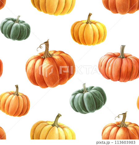 Pumpkin seamless pattern. Watercolor painted illustration. Hand drawn ripe orange autumn pumpkins decoration. Thanksgiving and halloween bright seamless pattern element. White background Pumpkin seamless pattern. Watercolor painted illustration. Hand drawn ripe orange autumn pumpkins decoration. Thanksgiving and halloween bright seamless pattern element. White background 113603983