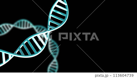 Image of dna strands spinning with copy space over black background 113604739