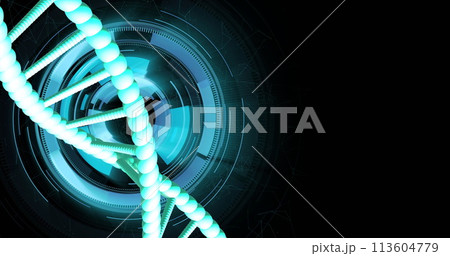 Image of dna strand spinning with data processing over black background 113604779