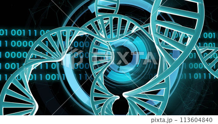 Image of dna strands spinning with binary coding data processing over black background 113604840