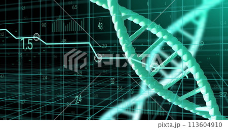 Image of dna strands spinning with data processing over black background 113604910