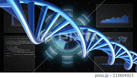 Image of dna strand spinning with data processing over black background Image of dna strand spinning with data processing over black background 113604923