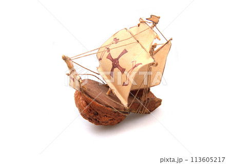 boat from nut isolated 113605217