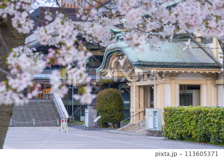 早朝の京都市美術館別館（京都会館） 113605371