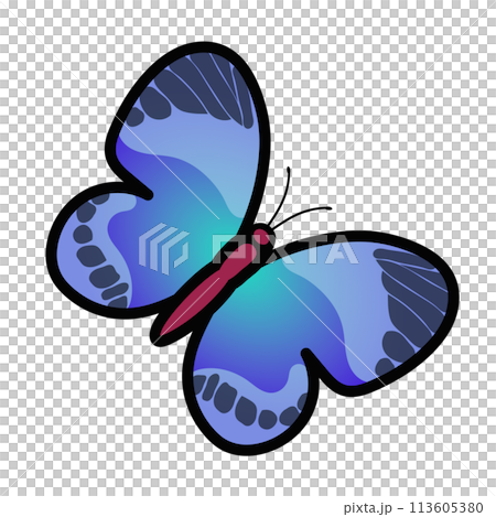 Butterfly illustration 113605380