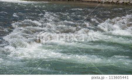 鴨川の急流 113605441