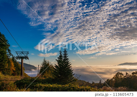 (長野県)紅葉が始まった乗鞍高原・三本滝付近 スキー場 (長野県)紅葉が始まった乗鞍高原・三本滝付近 スキー場 113605473